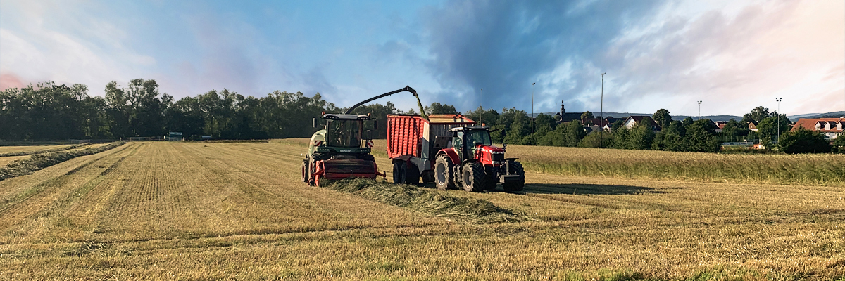 Feldarbeit in Abendstunden Feldarbeit in Abendstunden