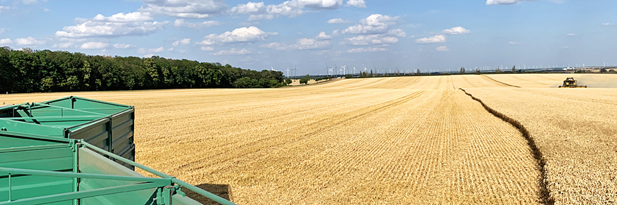 Getreideernte mit Blick in die Landschaft Getreideernte mit Blick in die Landschaft