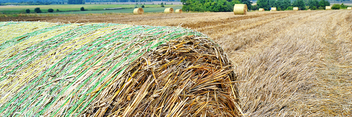 Heuballen vor Agrarflächen Heuballen vor Agrarflächen