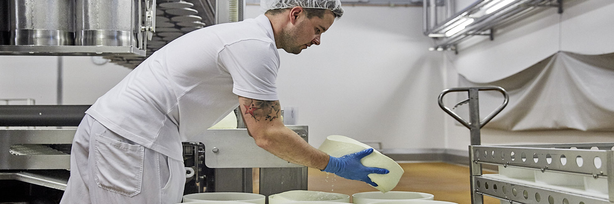 Herstellung Käse