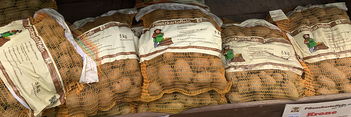 Pflanzkartoffeln Pflanzkartoffeln