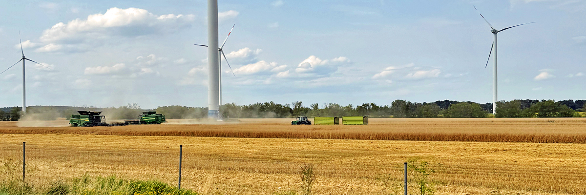 Getreideernte im Havelland